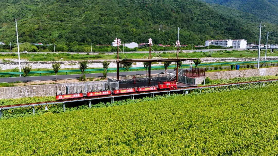 垂釣、逛展、追音樂… 陳家壩稻田音樂季，承包你的周末快樂！