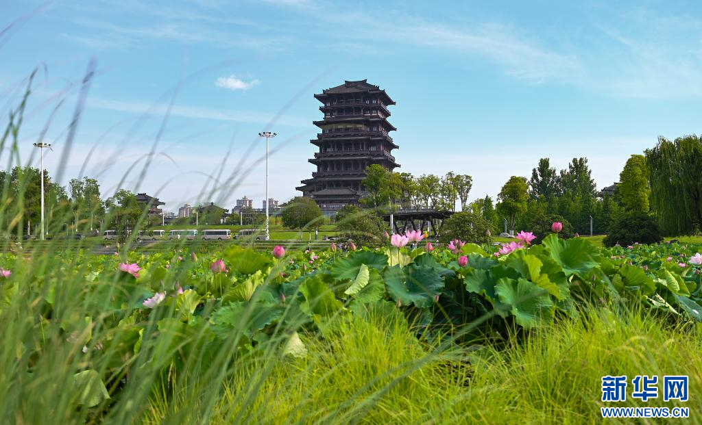 高質(zhì)量發(fā)展調(diào)研行｜城市因水而“樂(lè)”——陜西漢中城市濕地采訪見(jiàn)聞