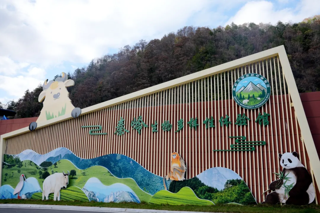 留壩新名片！感官全開，趣游秦嶺