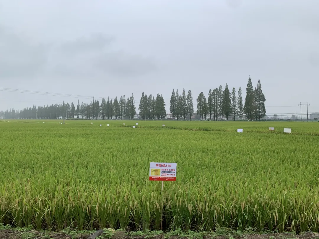 全國180余名專家齊聚漢中