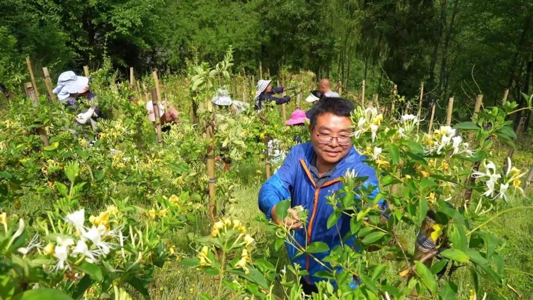 漢中這些地方，藏著令人向往的滿(mǎn)分初夏時(shí)光！