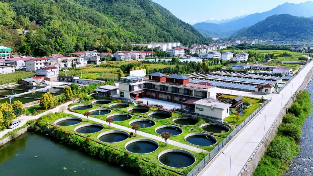 垂釣、逛展、追音樂… 陳家壩稻田音樂季，承包你的周末快樂！