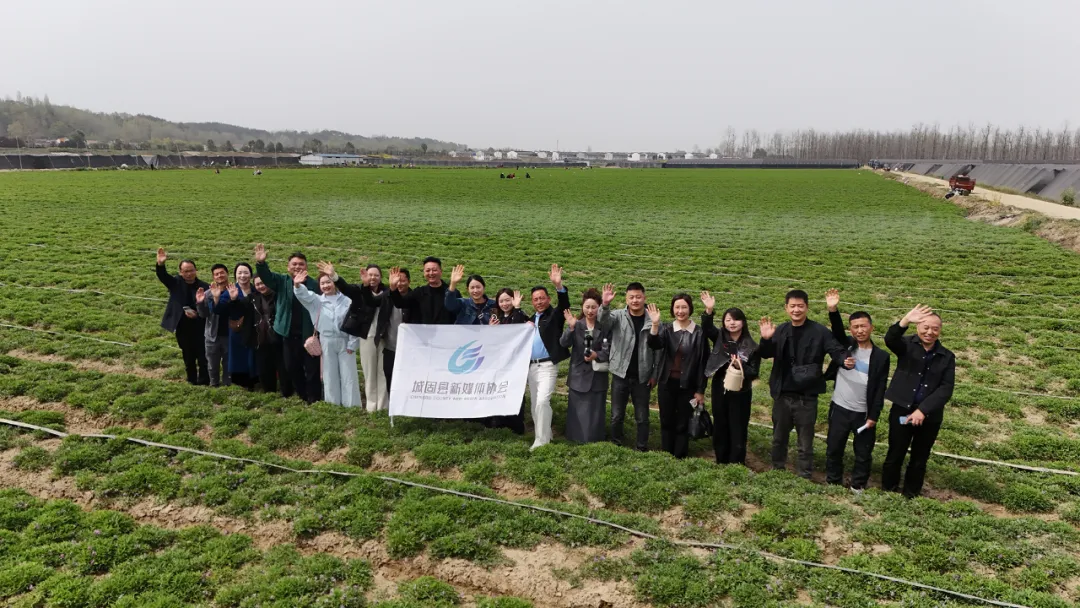 城固開展“相約張騫故里 暢游金色花海”主題采風(fēng)活動