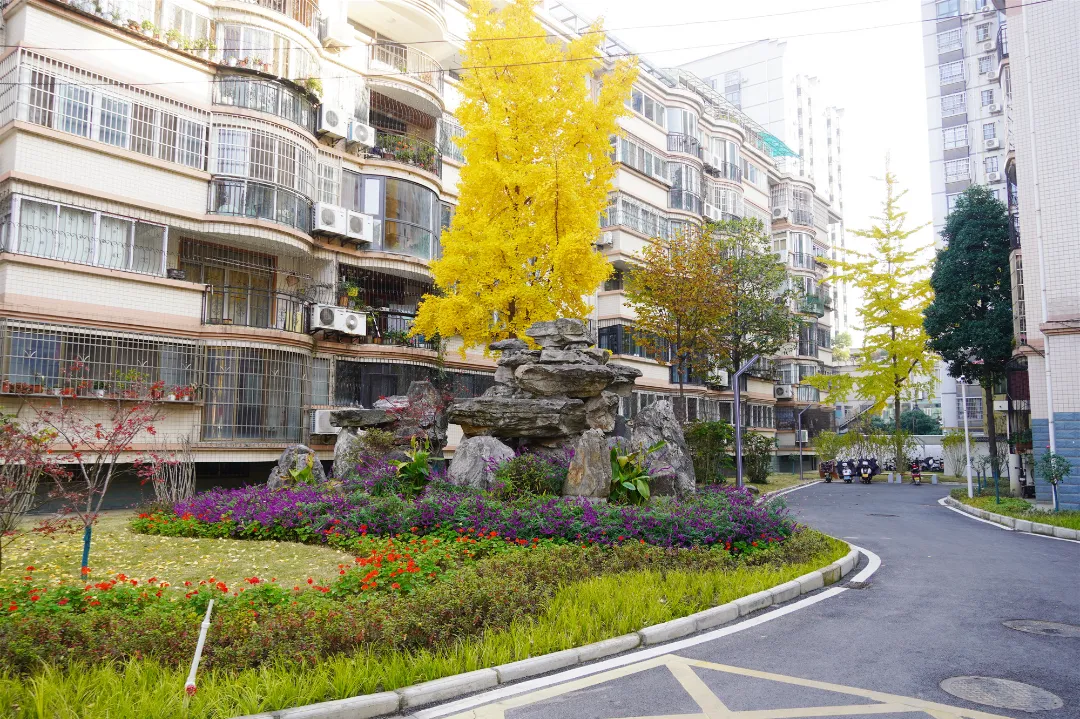 漢臺(tái)區(qū)漢中路街道：老舊小區(qū)改造，“改”到居民心坎上