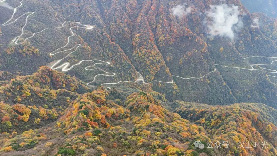 漢中龍頭山：云霧裹著秋景，像是在彩林間畫了層漸變。