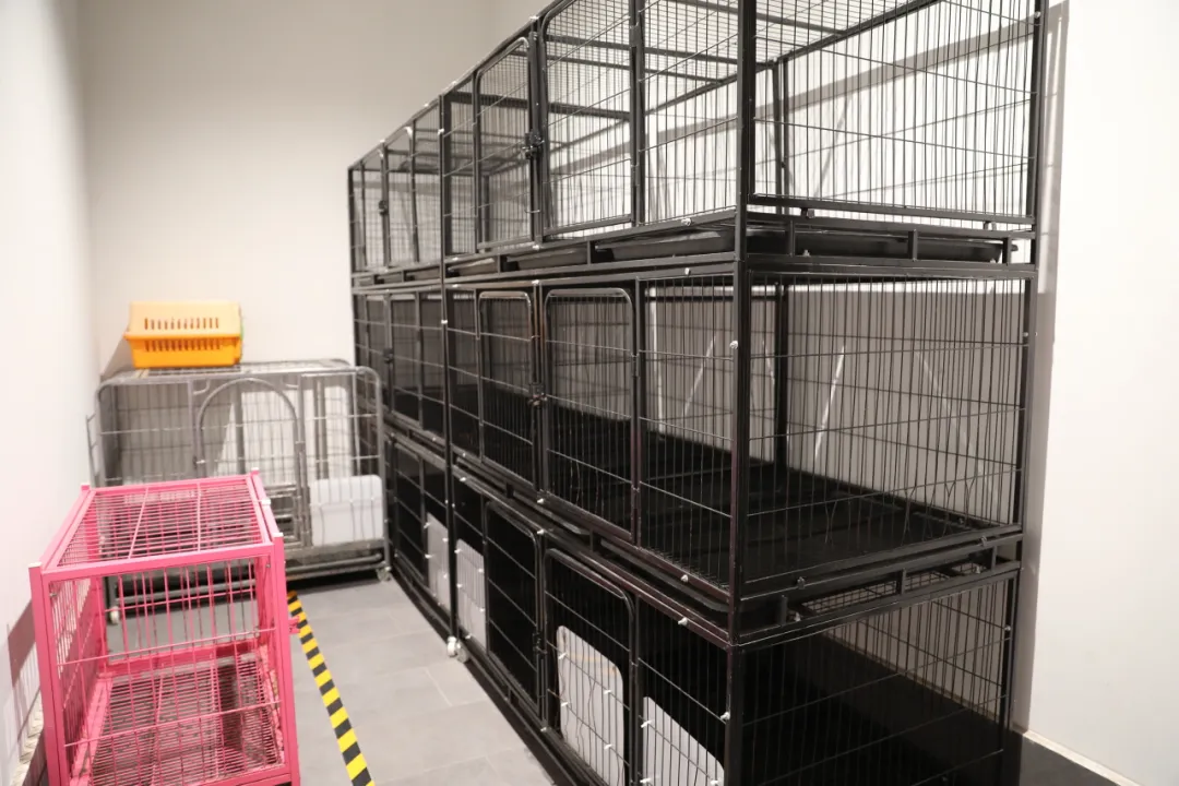 興漢勝境景區(qū)“十大免費(fèi)服務(wù)”大揭秘！薅到就是賺到！