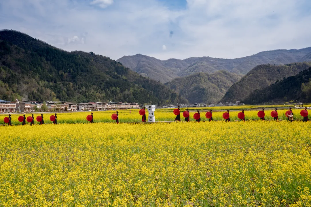 2025漢中鎮巴春日盛宴，解鎖油菜花海文旅新玩法！