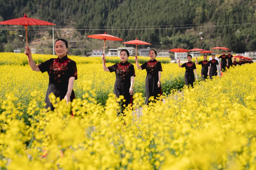 2025漢中鎮巴春日盛宴，解鎖油菜花海文旅新玩法！