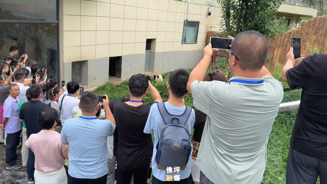 40家中省市網絡媒體和名人聚集佛坪，為什么→ 做什么→
