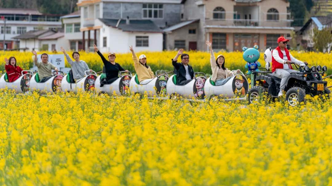 2025漢中鎮巴春日盛宴，解鎖油菜花海文旅新玩法！