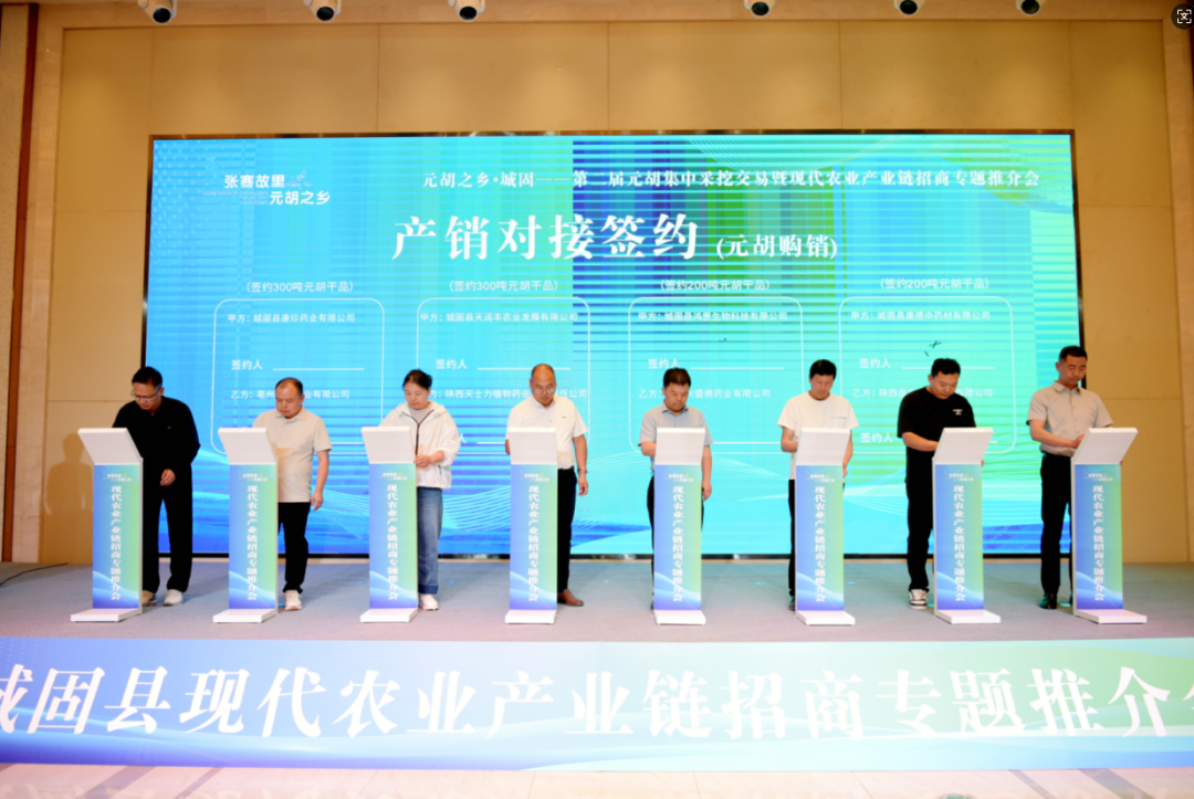 2025元胡之鄉?城固—第二屆元胡集中采挖交易暨現代農業產業鏈招商專題推介會召開