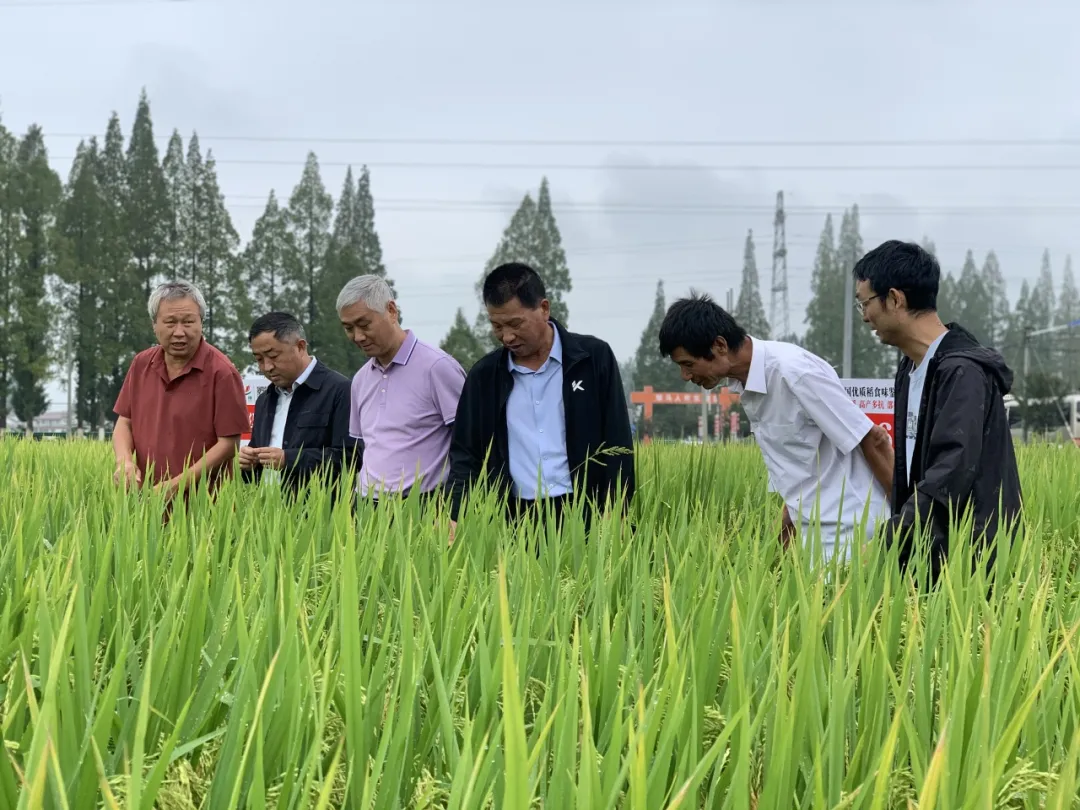 全國180余名專家齊聚漢中