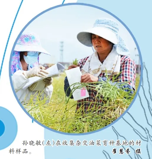 中國油菜的“漢中芯”！探尋背后硬核→