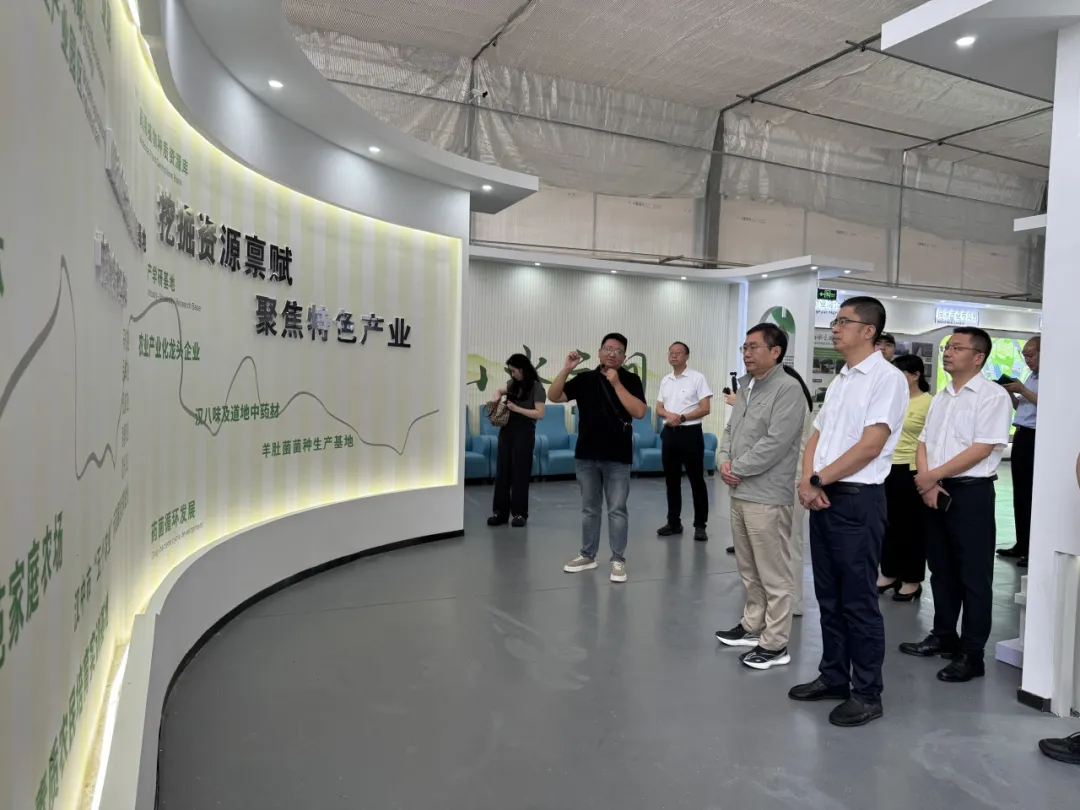 中省媒體聚焦漢中新型工業！傳統行業煥發新生→