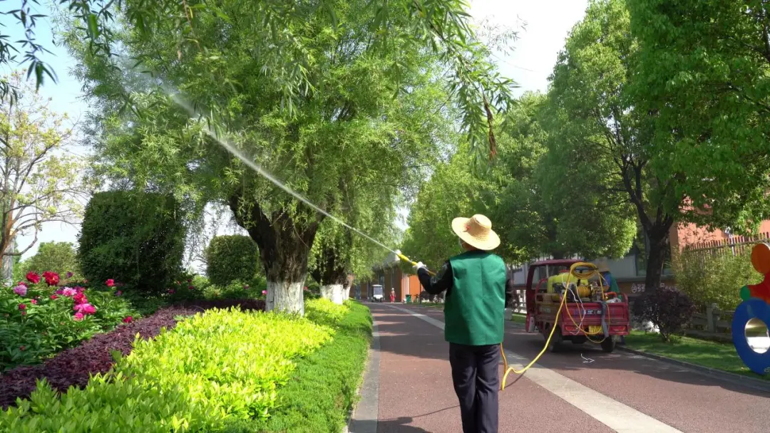 漢中毛?毛?毛?毛……明顯減輕！原因在這里→