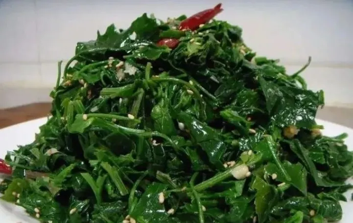 賞春花，吃春菜，把春天“吃進肚子”