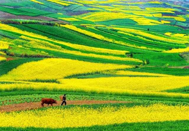 聚焦“旅居在漢中”！這場(chǎng)網(wǎng)上新聞發(fā)布會(huì)說(shuō)了啥？