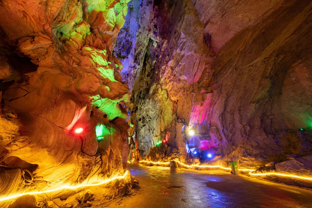 2025漢中鎮巴春日盛宴，解鎖油菜花海文旅新玩法！