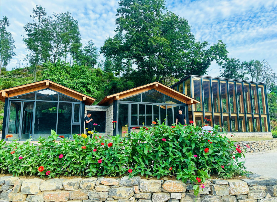 2025漢中鎮巴春日盛宴，解鎖油菜花海文旅新玩法！