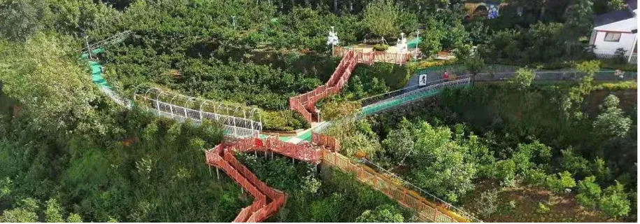 康樂(lè)美康福啟新歲 歡聚元旦情暖桑榆