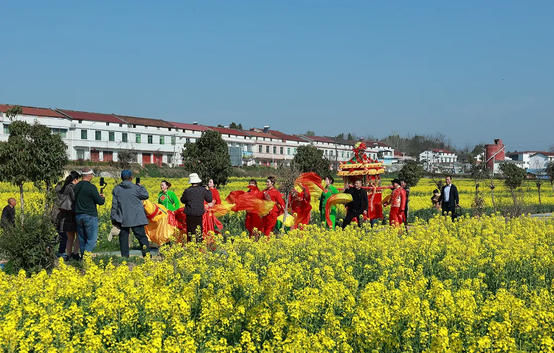 “鹮鄉(xiāng)花海 鏡遇春天” 市、縣新媒體聯(lián)動走進五彩洋州