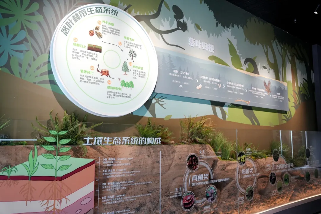 留壩新名片！感官全開，趣游秦嶺