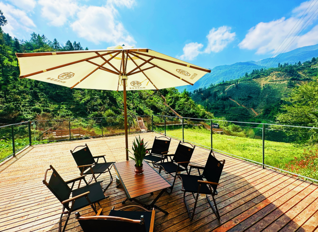 2025漢中鎮巴春日盛宴，解鎖油菜花海文旅新玩法！