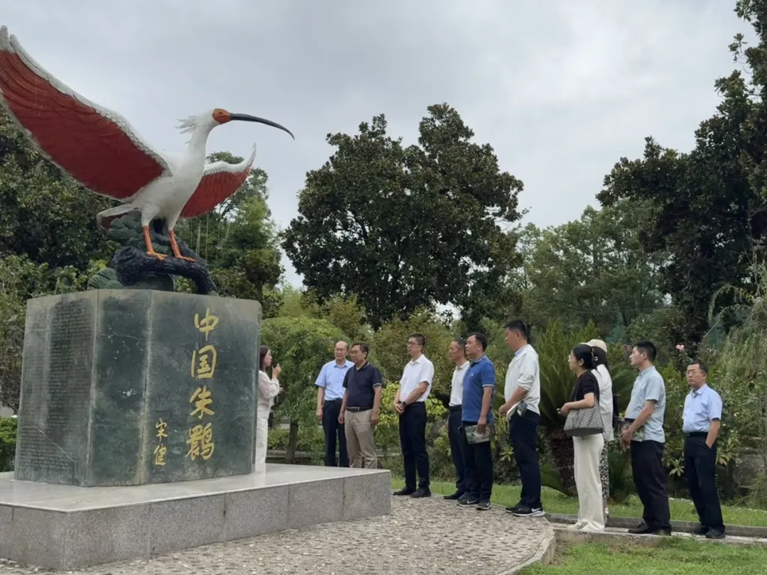 中省媒體聚焦漢中新型工業！傳統行業煥發新生→