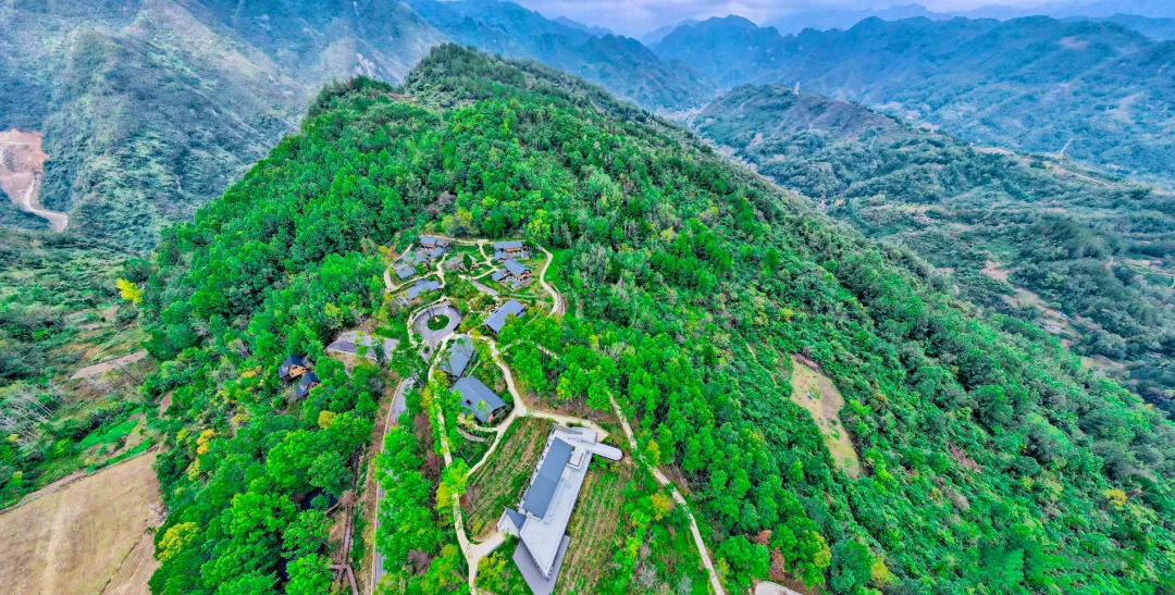 2025漢中鎮巴春日盛宴，解鎖油菜花海文旅新玩法！