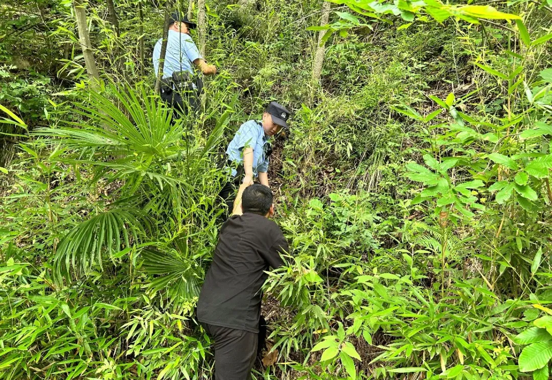 小伙任性離家出走，漢中民警深山尋回
