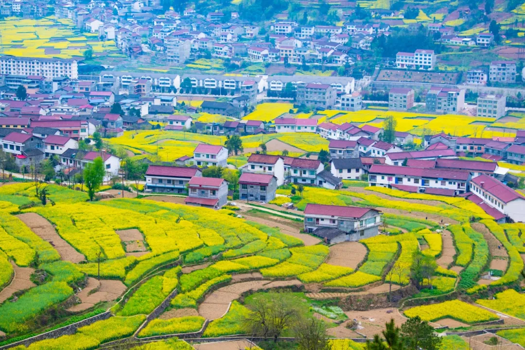 咩咩羊漁渡11 (11)_副本.jpg