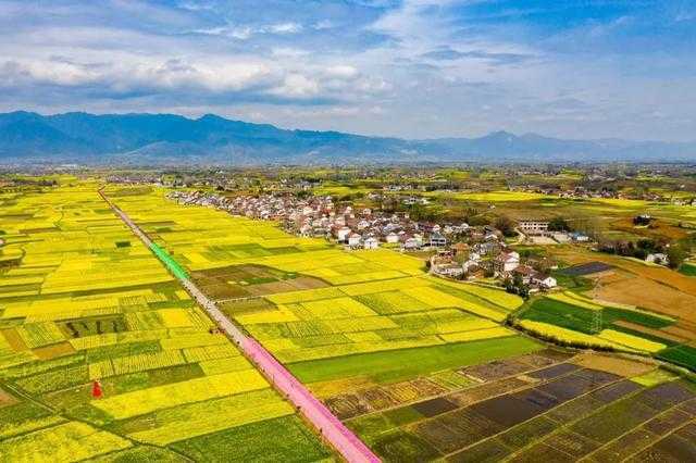 聚焦“旅居在漢中”！這場(chǎng)網(wǎng)上新聞發(fā)布會(huì)說(shuō)了啥？