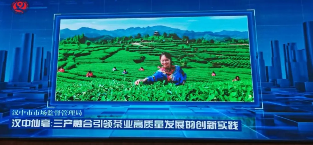 漢中一案例入選全省典型案例庫