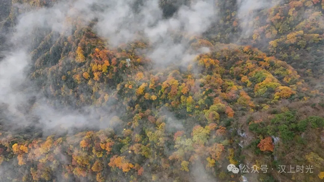 漢中龍頭山：云霧裹著秋景，像是在彩林間畫了層漸變。