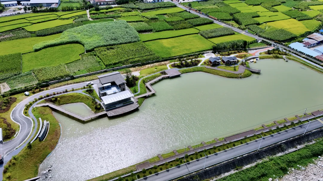 垂釣、逛展、追音樂… 陳家壩稻田音樂季，承包你的周末快樂！